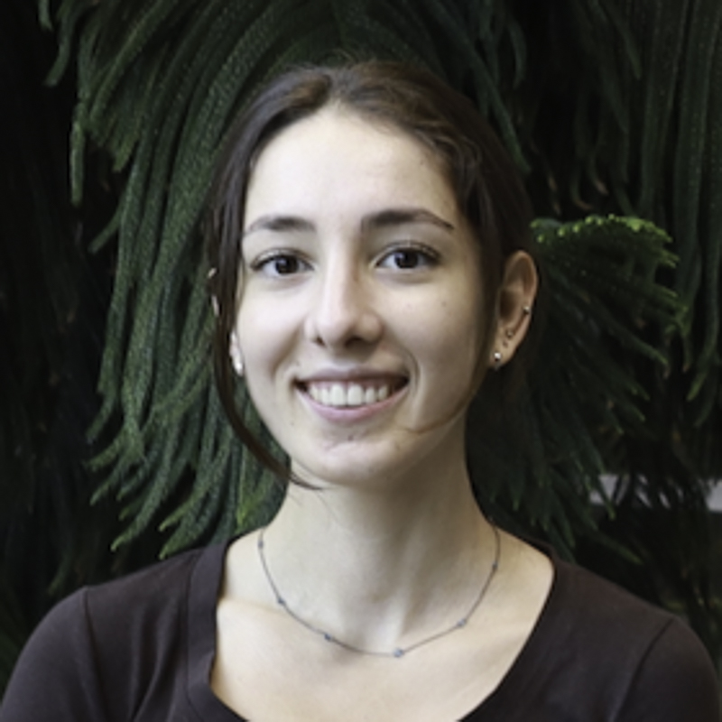 headshot of young woman with brown hair pulled back, brown eyes, smiling showing teeth, with green plant in the background