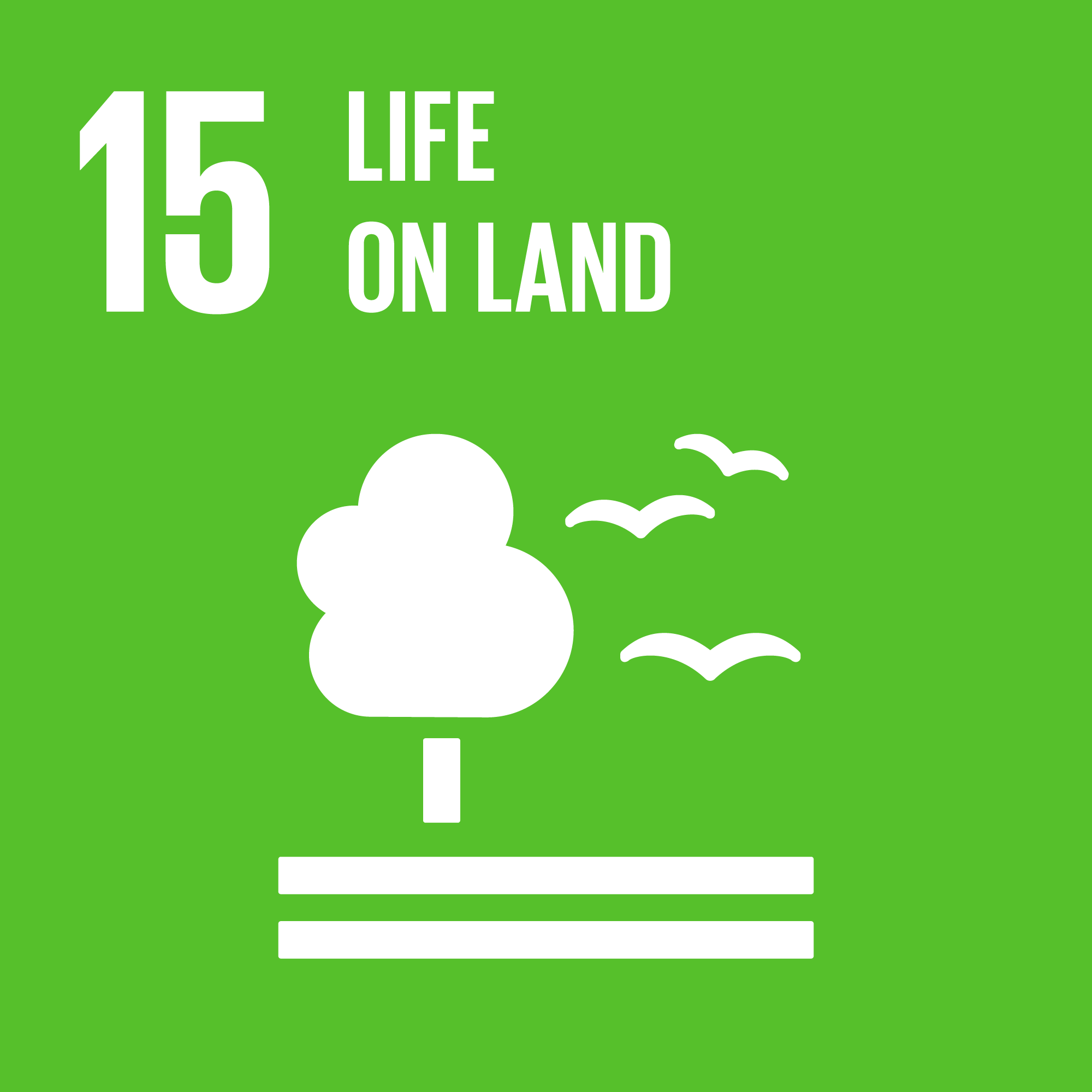 SDG 2: Zero Hunger icon