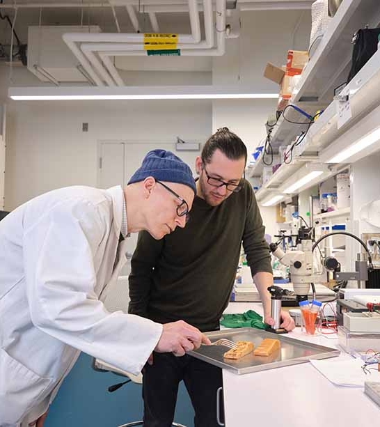 TMU food scientist and researcher Dérick Rousseau, left, examines a plant-based salmon product he helped create with New School Foods, a startup incubated in TMU’s Science Discovery Zone. Founder Chris Bryson, right, says the company’s success is in part thanks to TMU researchers and resources. 