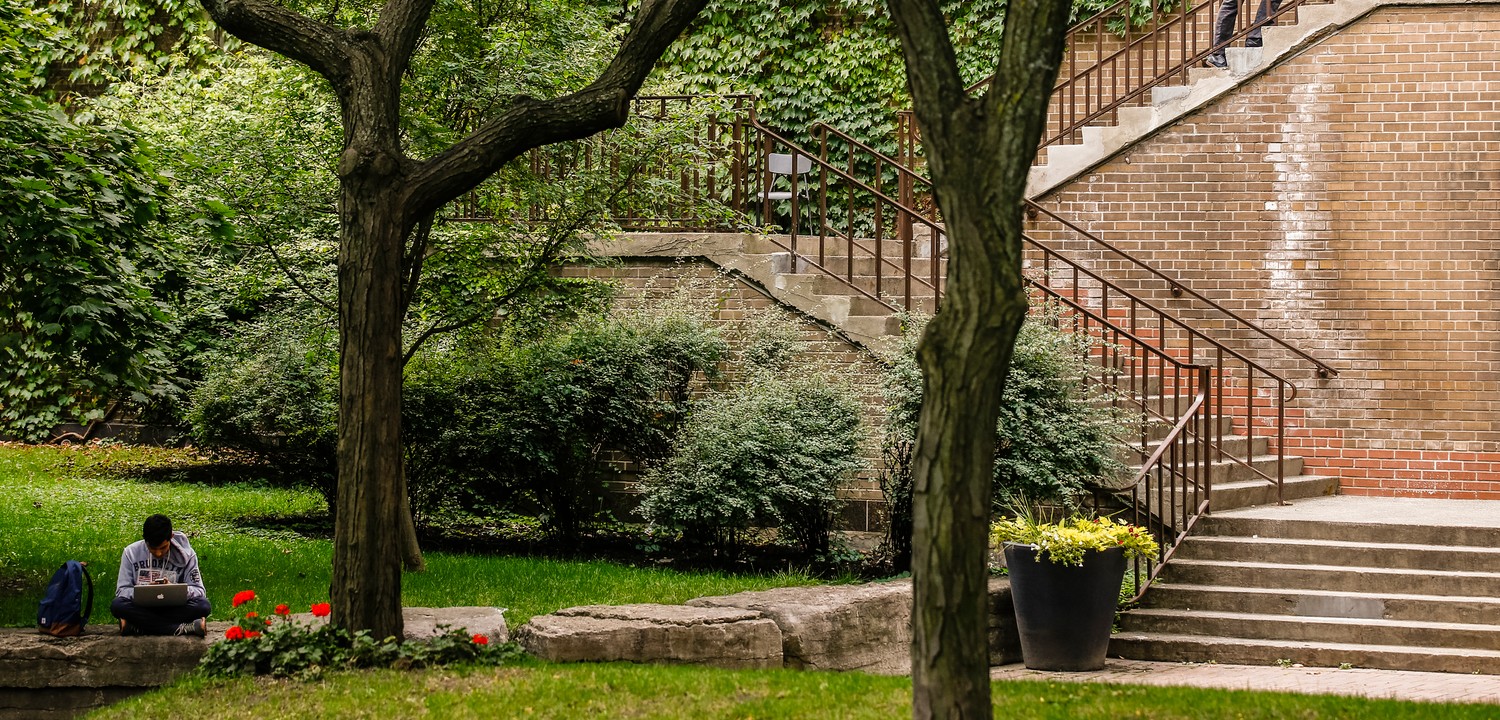 students gardening on campus rooftop urban farm