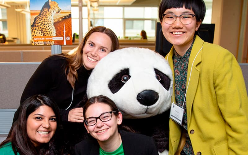 Four students smiling with a stuffed panda bear.