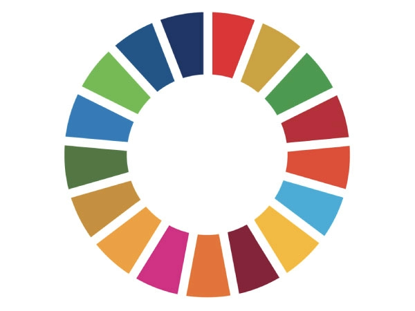 A ring with 17 different colours representing the 17 United Nations Sustainable Development Goals.