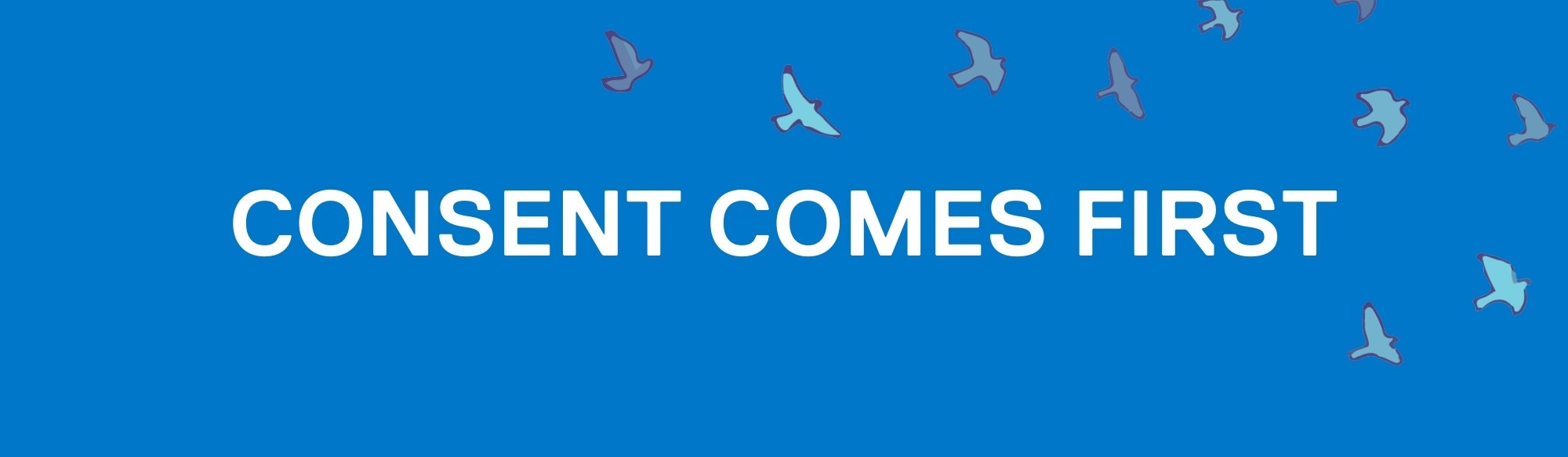 Graphic of the text "consent comes first" on top of a blue background with birds flying in the corner.