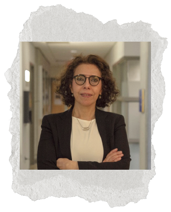 Photo of woman - Dr. Lamya Amleh