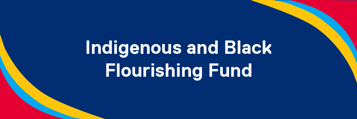 Navy blue background with red, blue and yellow border. White font reads "Social Innovation & Activism Fund"