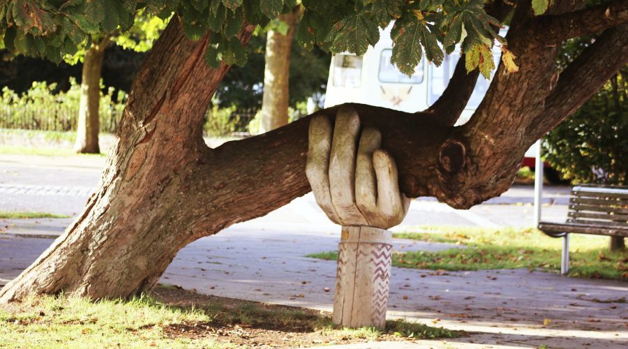 A concrete hand supporting a large, leaning tree