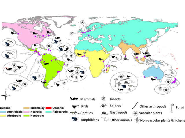 Continental map outlining areas where animals and plants are found.