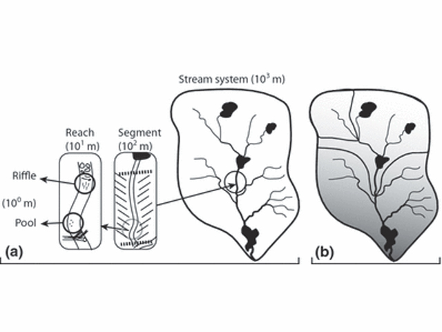   (a) Frissell et al.’s (1986) hierarchy showing all stream segments, reaches, riffles/pools and microhabitats nested within the entire sub-catchment. (b) Example of directionally nested and overlapping catchments typically used in hydrological analysis