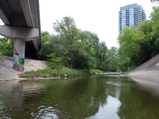 Mimico Creek is an urban watershed form