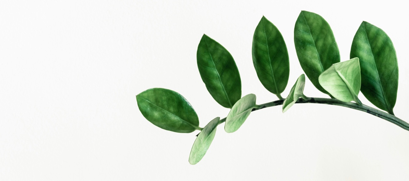 Black students touching hands 