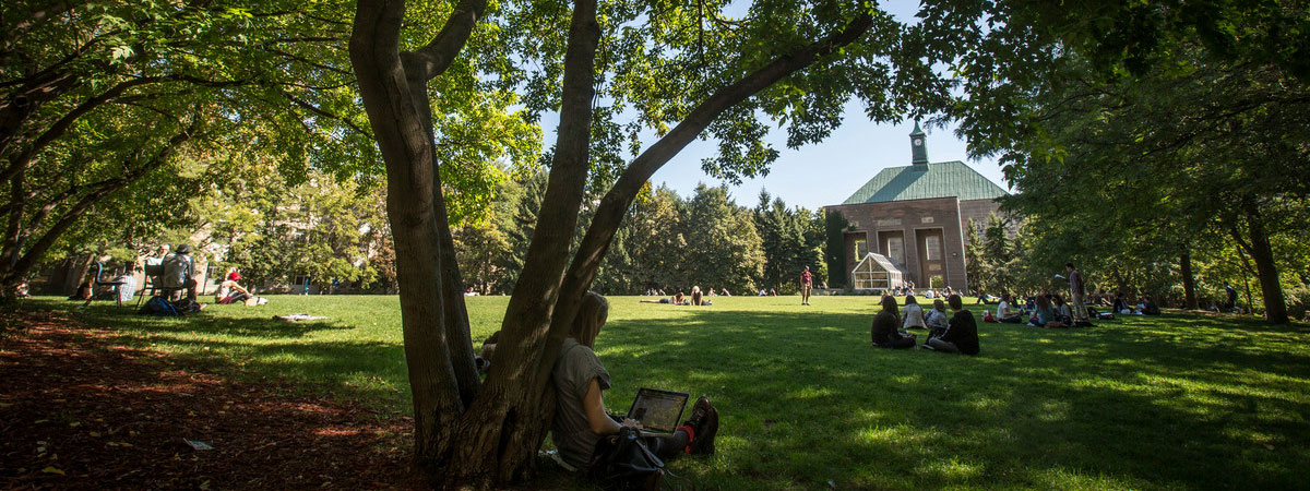 Students sitting under the shade of the trees in the summer in the Quad.