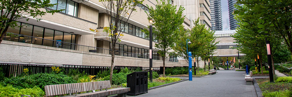 Nelson Mandela Walk displaying its green foliage in summer.