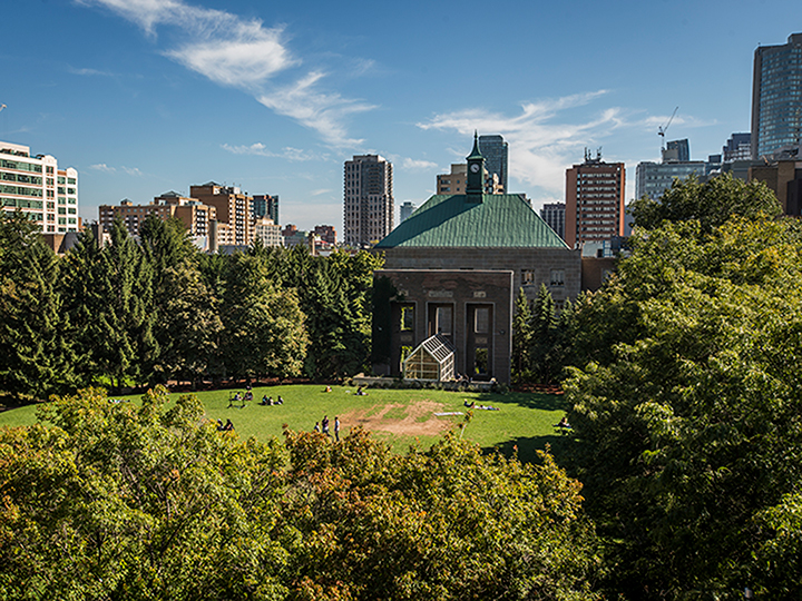 The Quad in the summer time with lush green grass and trees with a blue sky.