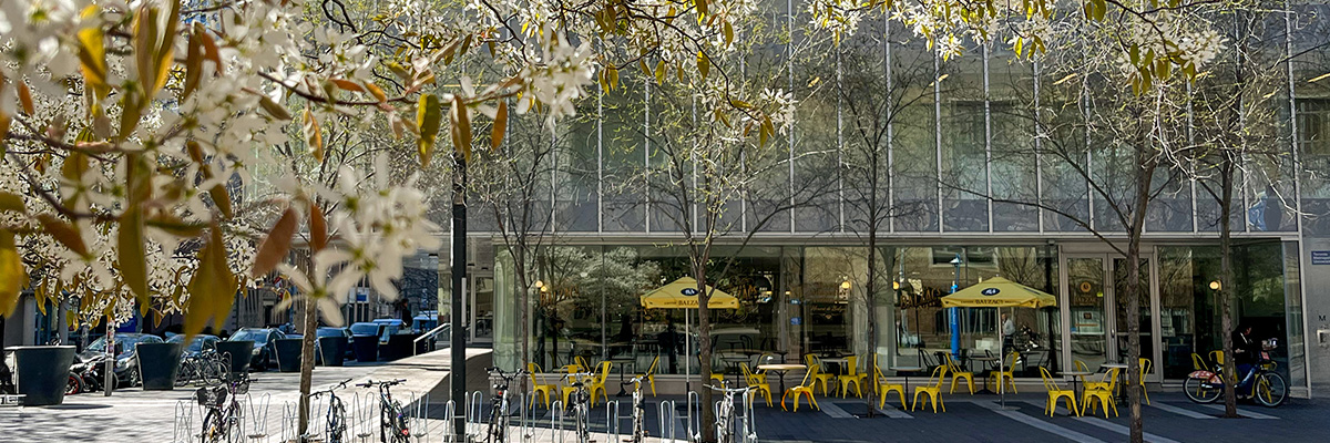 Balzac's on Gould St. framed by spring tree blossoms.