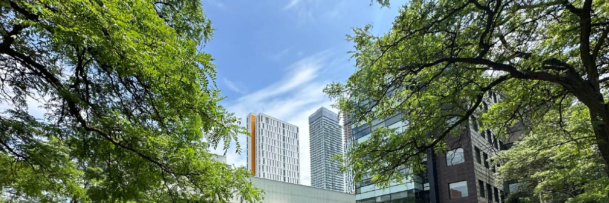 TMU campus view with green leaves and sky.