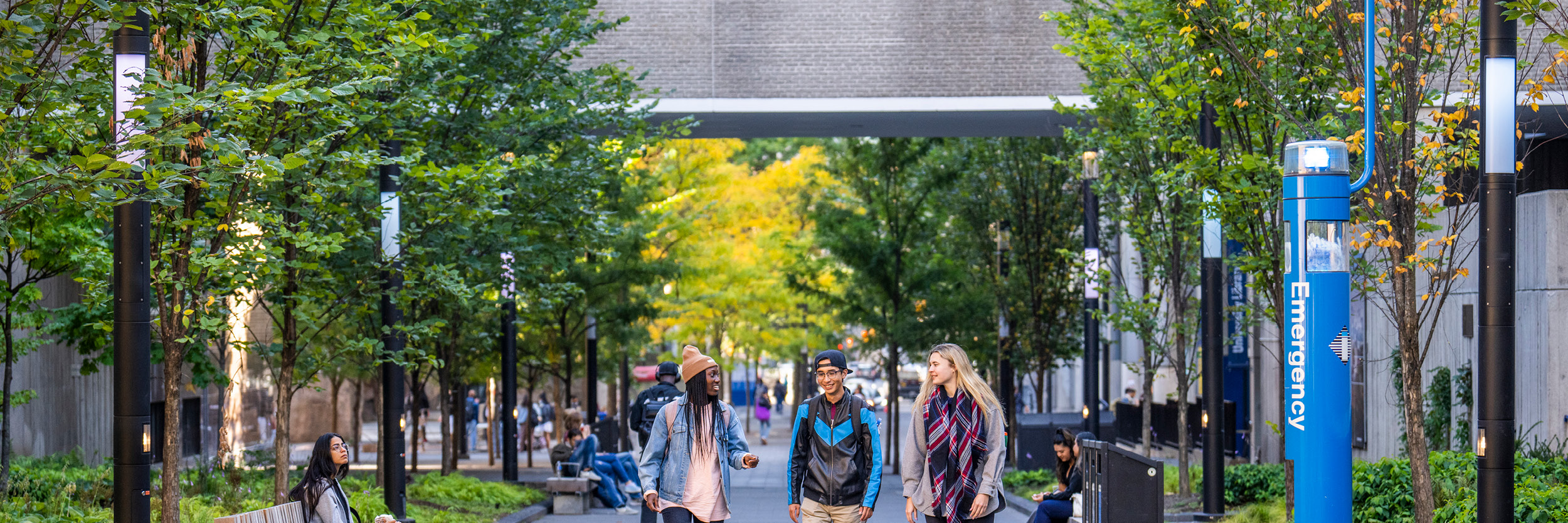 Students walking on TMU Campus, lush green trees line the walkway. 