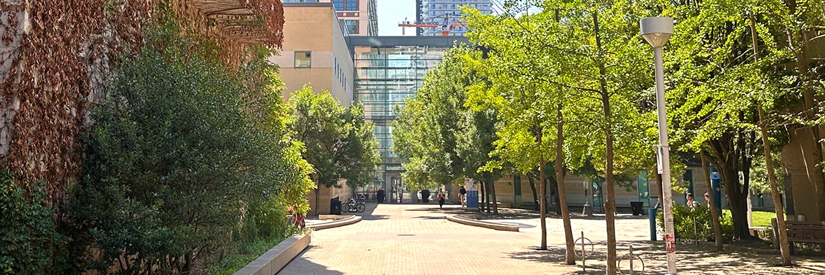 The walkway leading from Eric Palin Hall to the Pitman Hall Quad on a summer's day with green trees.