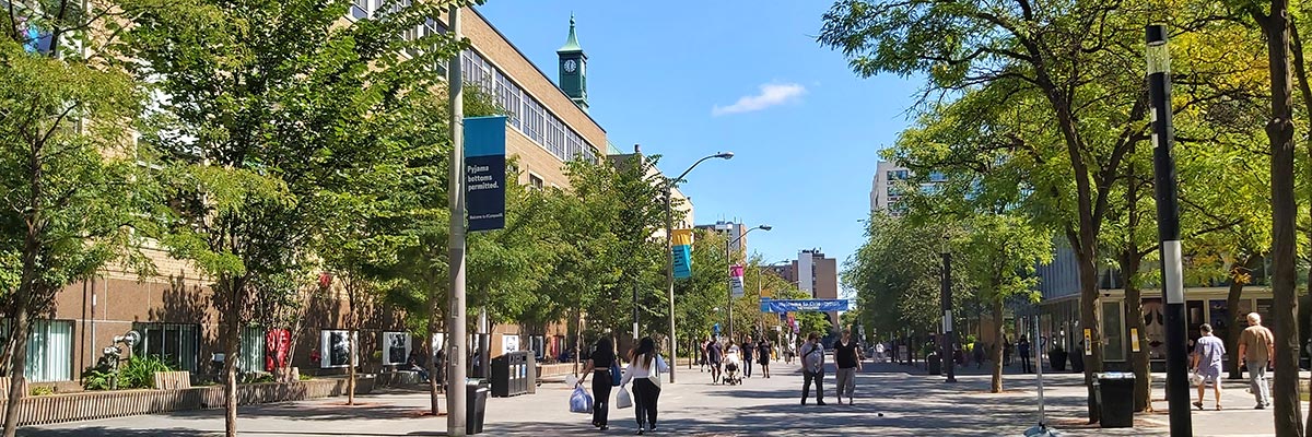 Students walking down Gould Street, looking eastward during Orientation.