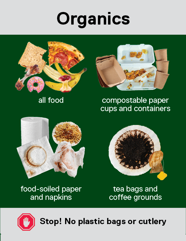Thumbnail of Organics signage on waste bins at TMU.