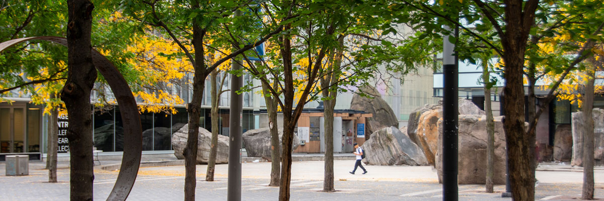 Looking through green and yellow leaved trees surrounding Lake Devo.