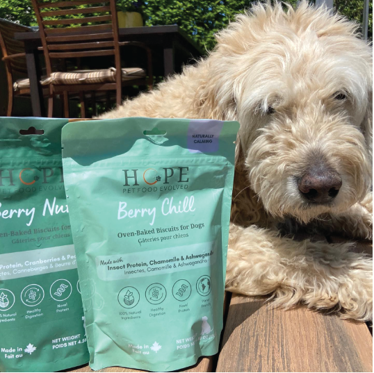 A white dog sitting beside two green bags of dog food. 
