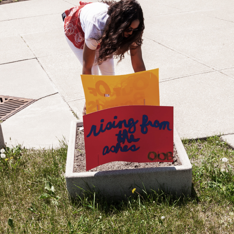 woman placing posters on the ground