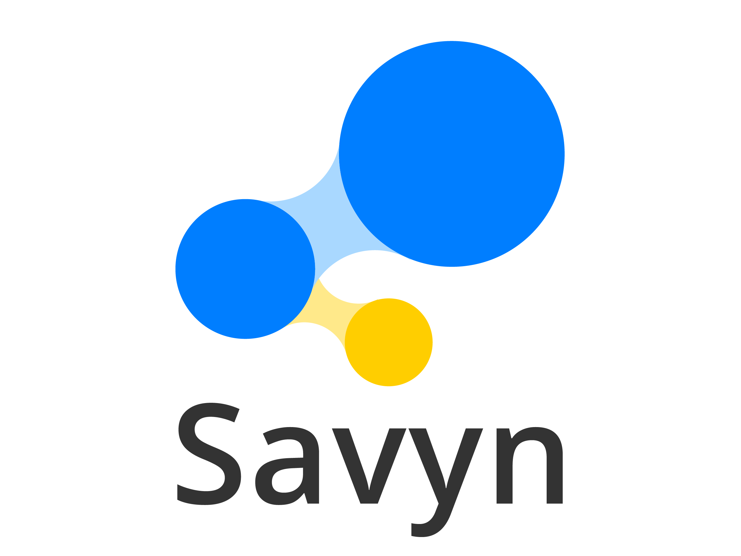 Savyn Logo