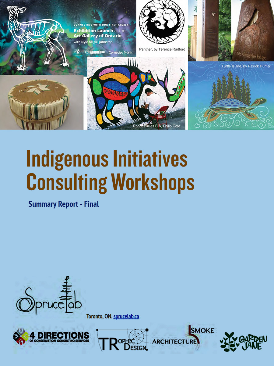 Download the Indigenous Initiatives Consulting Workshops Summary Report PDF