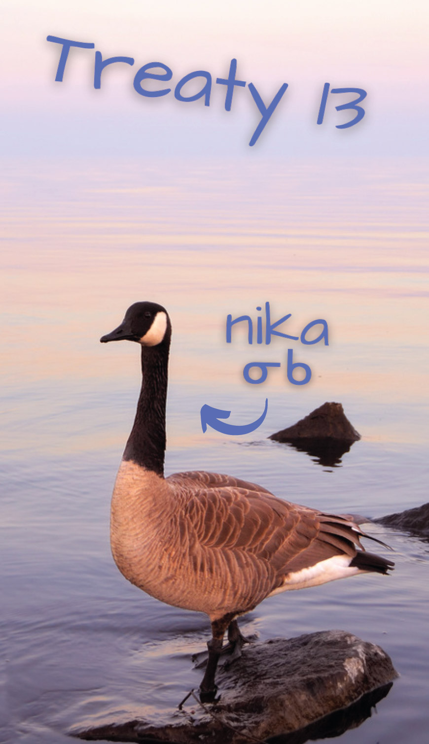 Goose Nika on the water with title Treaty 13
