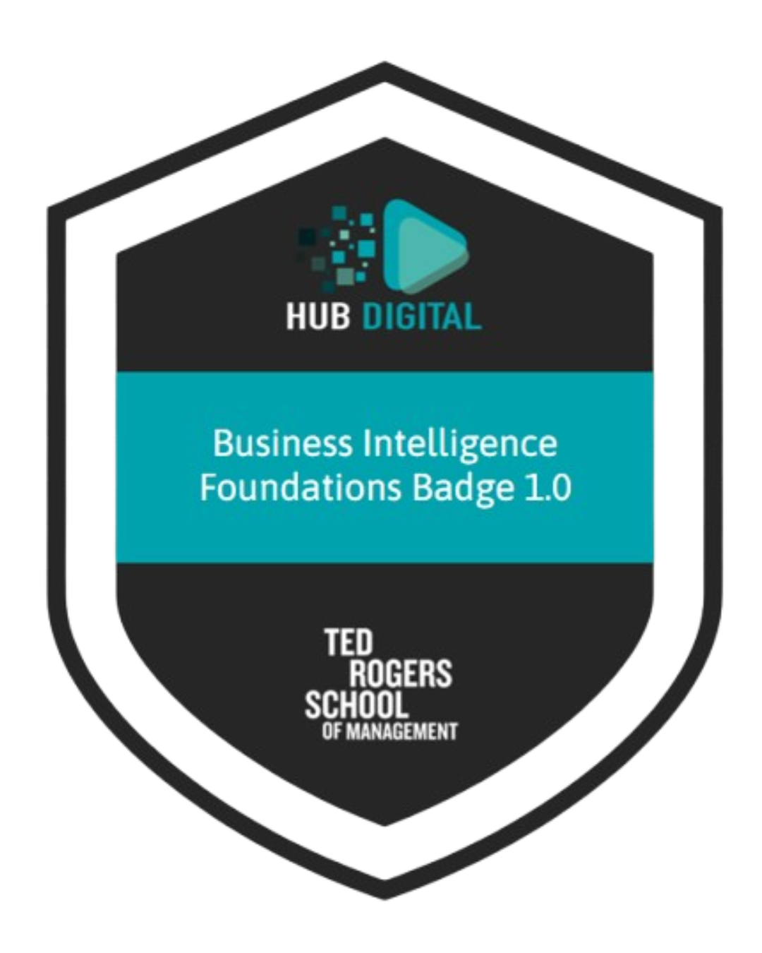 Hub Digital Business Intelligence Foundations Badge 1.0