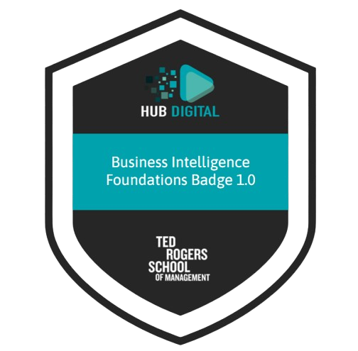 Business Intelligence Foundations Badge 1.0