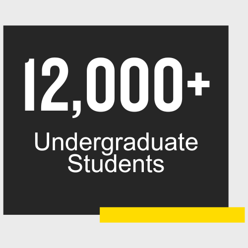 12,500+ Undergraduate Students