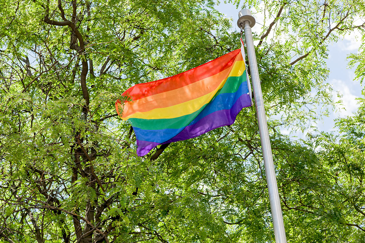Pride flag with trees behind it