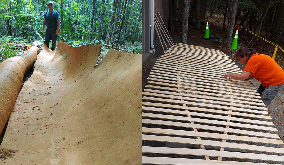 Todd Labrador’s Birchbark canoe building process