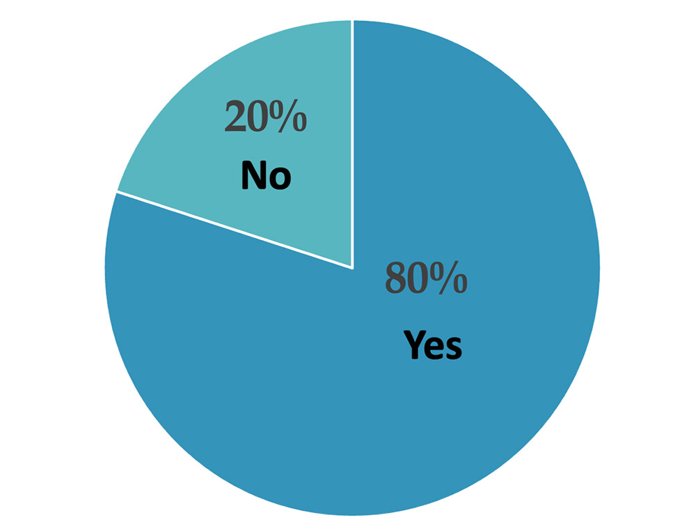 Pie graph. 20 percent answered "No". 80 percent answered "Yes" to the question, Do you wish to keep the business in the family?