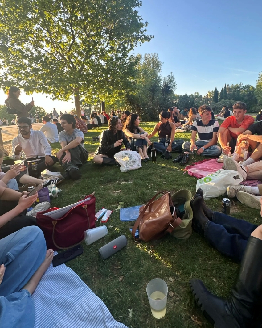 University students sitting on grass