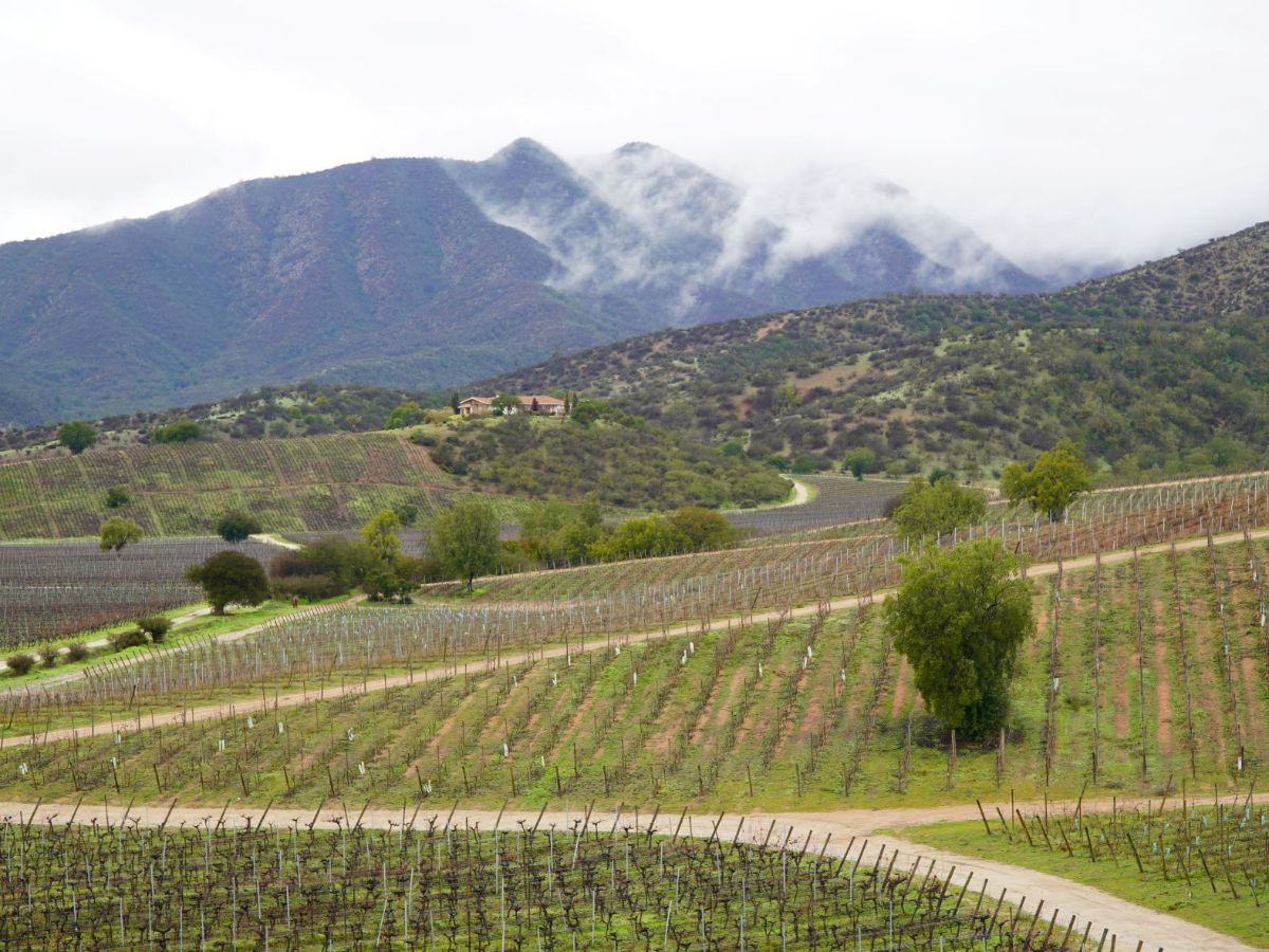 Villard Winery - Chile