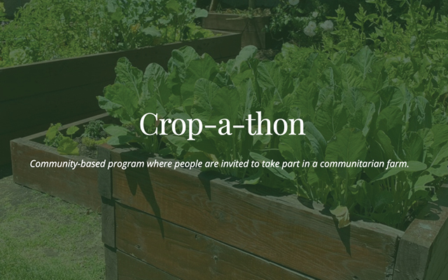 crop-a-thon community based program where people are invited to take part in a communitarian farm