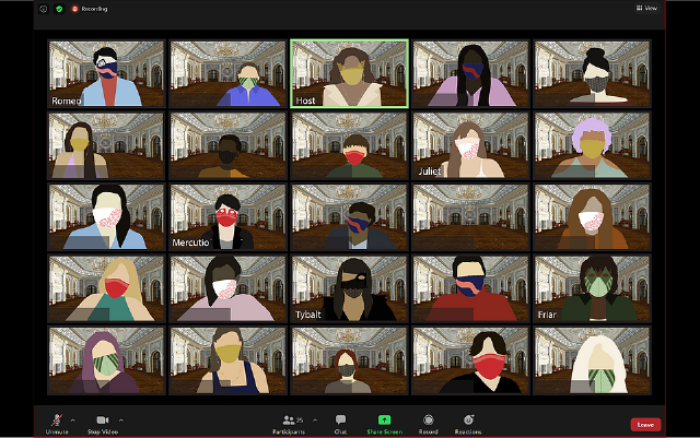 a tile Zoom screen with computerized people wearing masks