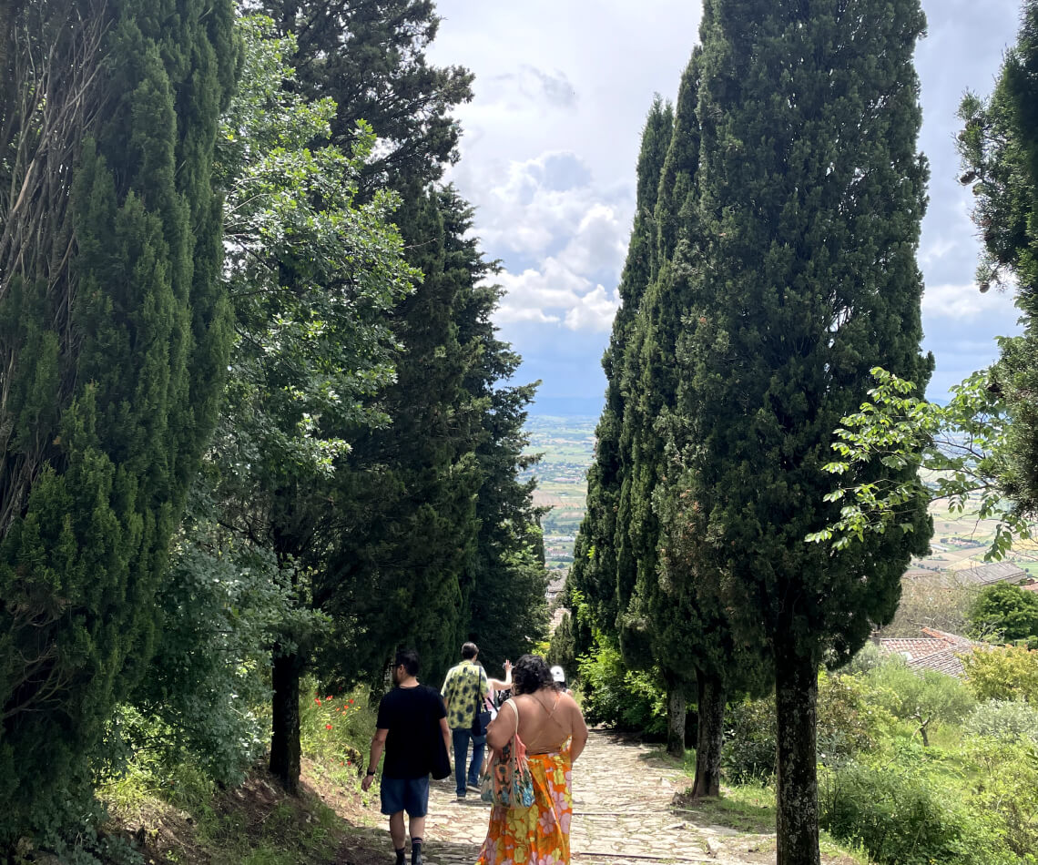 Students walking down tree-lined path in Cortona countryside