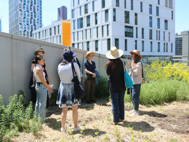A group of people wearing sun hats stand in a rooftop garden, listening to a guide who is speaking and gesturing toward the plants. Raised vegetation and flowering greenery surround the group, while modern high-rise buildings and a clear blue sky form the urban backdrop. 