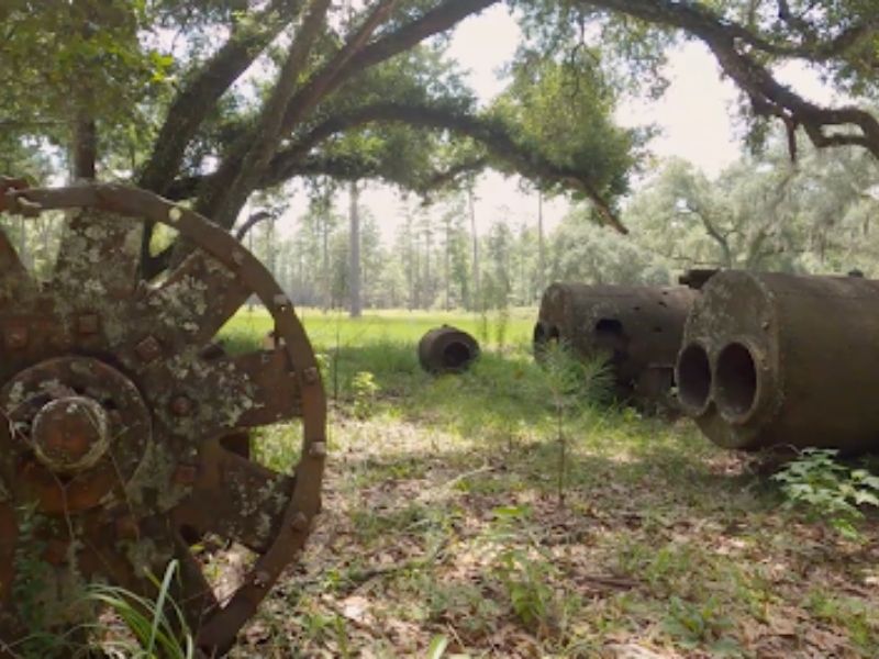 Old machinery rusting away in a field with trees in the background