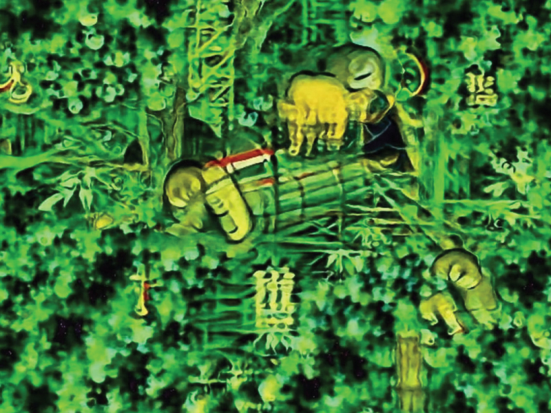 Debashis Sinha, Saṅkhyā Stories I: The Elephant Headed God Ganesh Sleeps in the Bamboo Grove, 2021. Video Still.