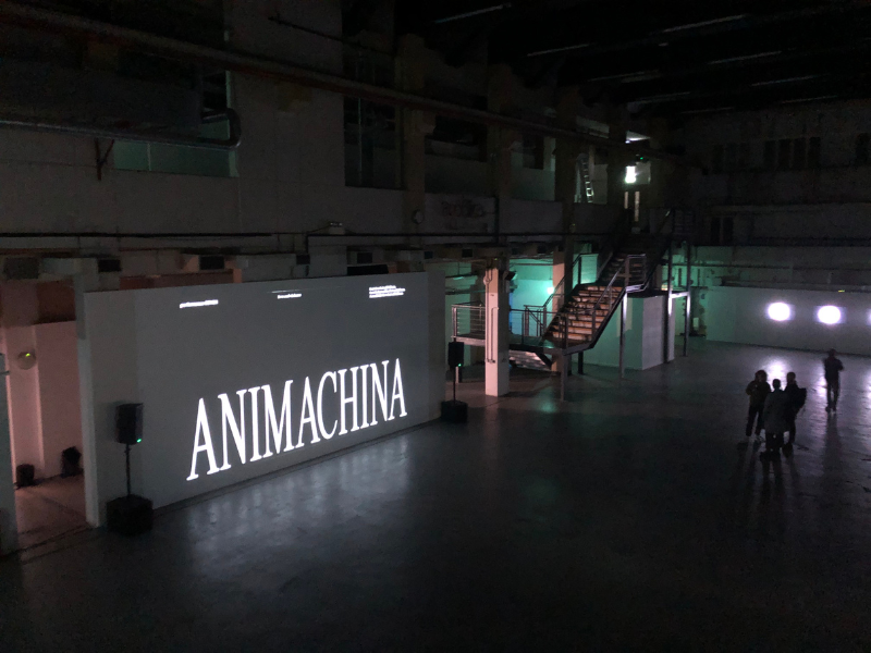 A projected image on a dark wall of text that reads "ANIMACHINA" 