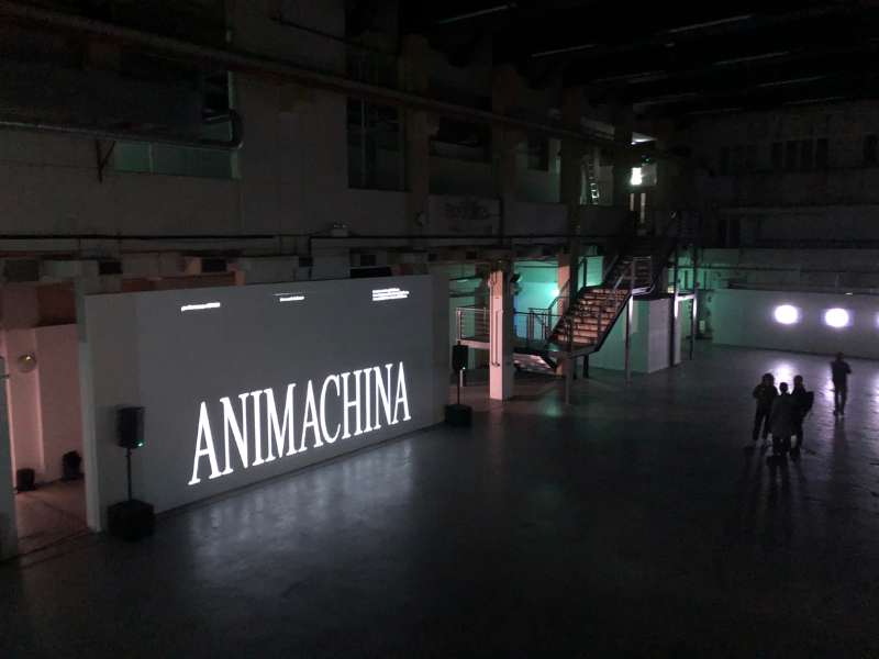 A projected image on a dark wall of text that reads "ANIMACHINA"