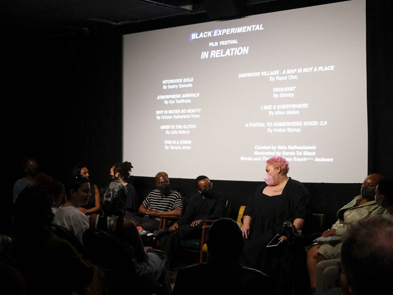 The film screenings were accompanied by a panel discussion at in relation