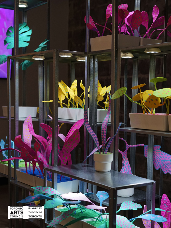 A picture of a large shelf holding multiple brightly coloured paper mache plants in pots.