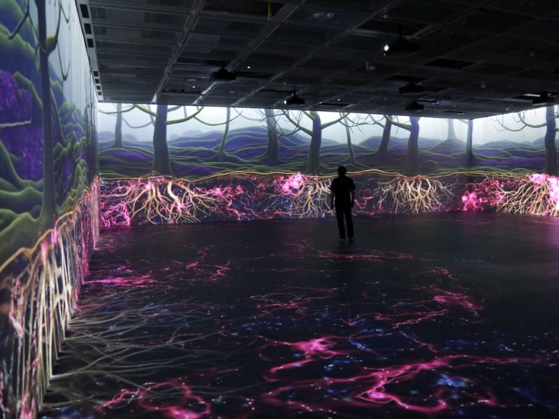A person standing in the middle of an immersive digital art experience studio