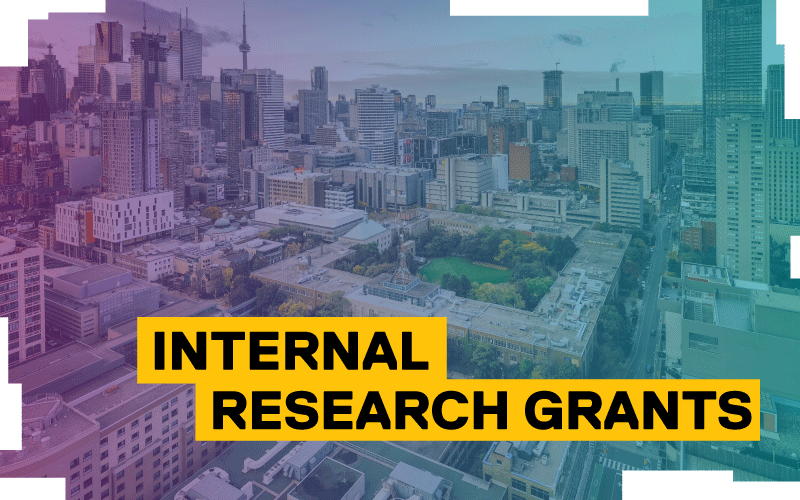 Internal Research Grants