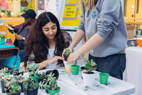 Students working with plants